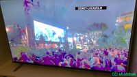 شاشة تلفزيون ذكية ٥٥ بوصة TCL Shobbak Saudi Arabia