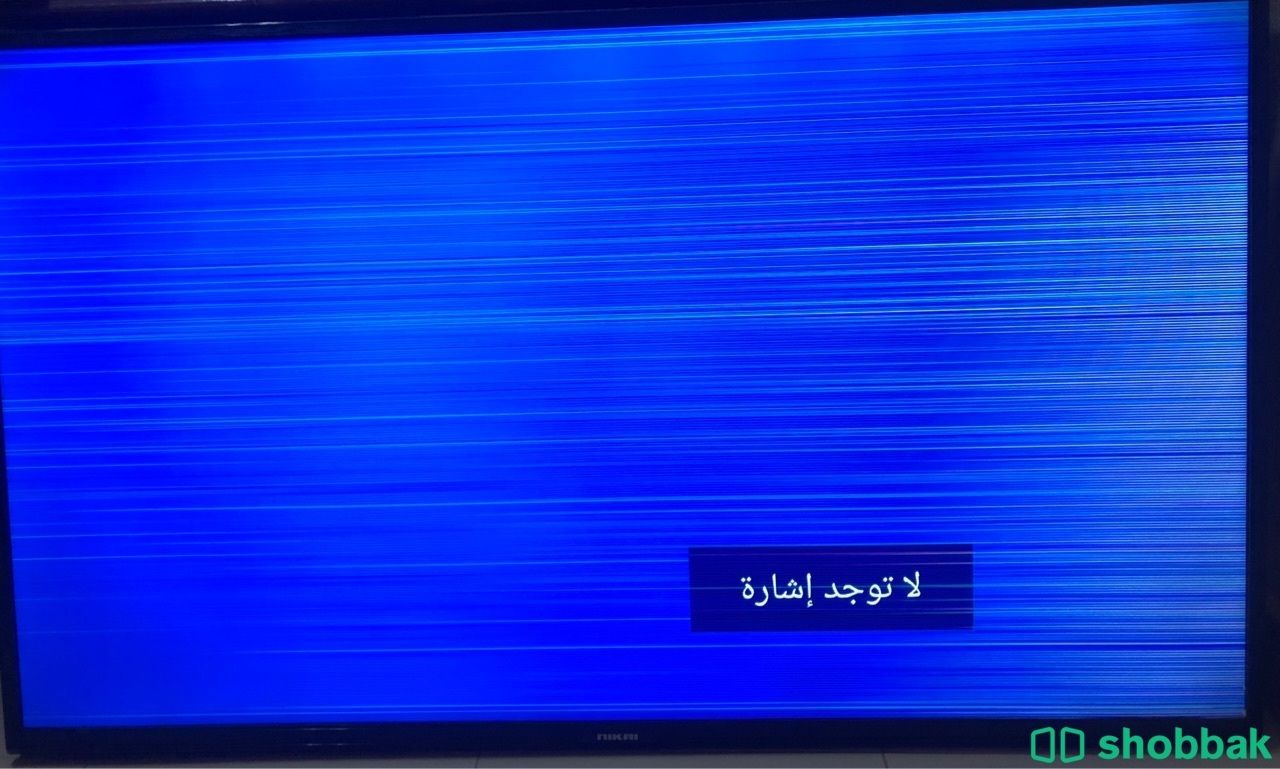 شاشة تلفزيون نيكاي 55 بوصة سمارت يظهر فيها خطوط٢ Shobbak Saudi Arabia
