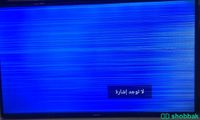 شاشة تلفزيون نيكاي 55 بوصة سمارت يظهر فيها خطوط٢ Shobbak Saudi Arabia