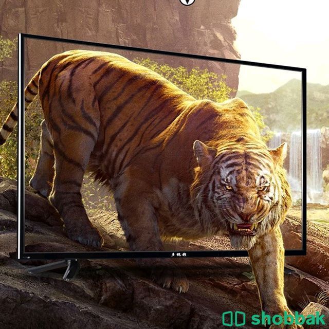 شاشة ذكية فائقة الوضوح شاشة LCD، شاشةكبيرة، تجربة العاب، المنزل، 55بوصة Shobbak Saudi Arabia