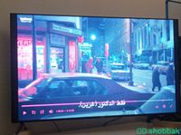 شاشة هاير للبيع ب ١٥٠٠  Shobbak Saudi Arabia