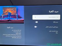 شاشه TCL 4k QLED Shobbak Saudi Arabia