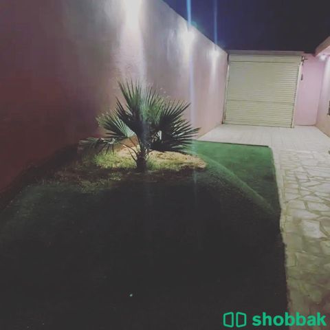 شاليه الرمال tob Shobbak Saudi Arabia