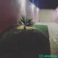 شاليه الرمال tob Shobbak Saudi Arabia