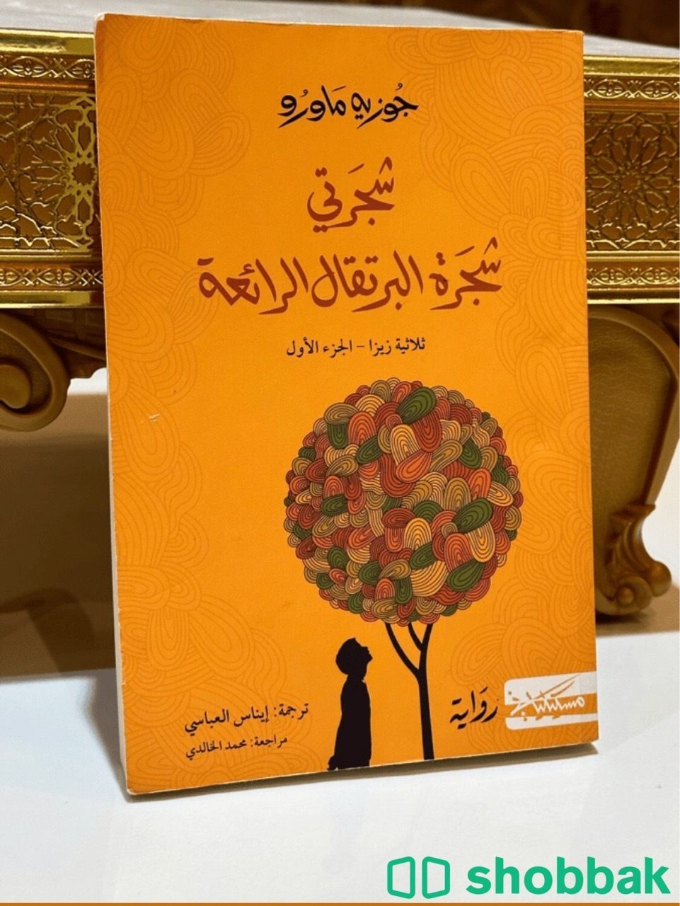 شجرتي شجرة البرتقال الرائعة Shobbak Saudi Arabia