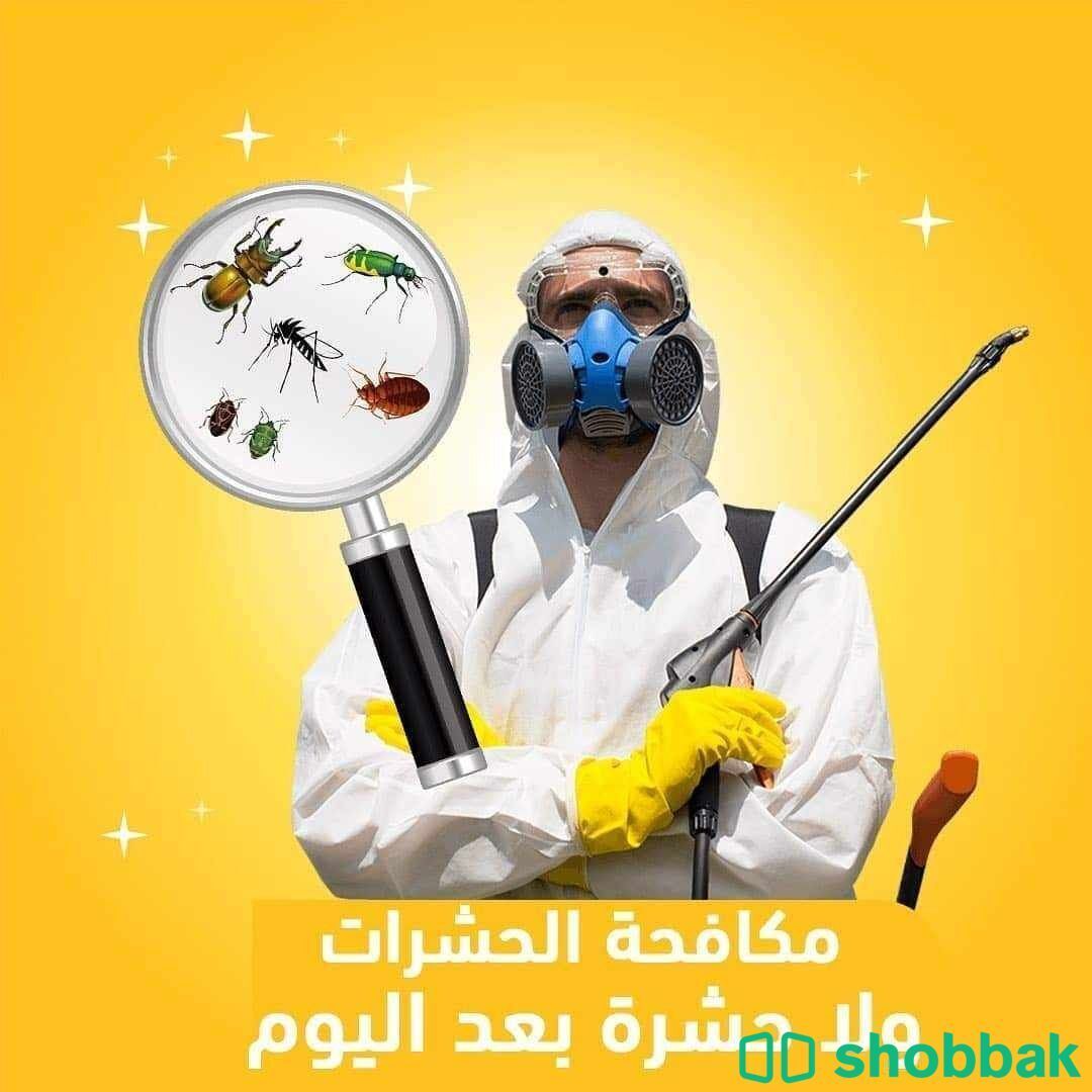 شركة الطيف رش مبيدات الحشرات با الدمام  Shobbak Saudi Arabia