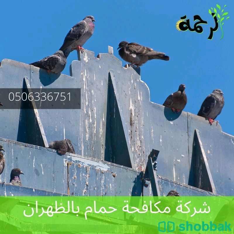 شركة تركيب طارد حمام بالدمام والخبر والقطيف Shobbak Saudi Arabia