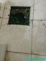 شركة تسليك مجاري تسليك الصرف الصحي تنظيف بيارات شفط بيارات حل مشكلة الصرف الصحي  Shobbak Saudi Arabia