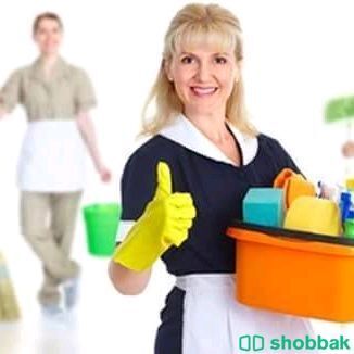شركة تنظيف شقق مفروشة بالمدينة المنورة  Shobbak Saudi Arabia