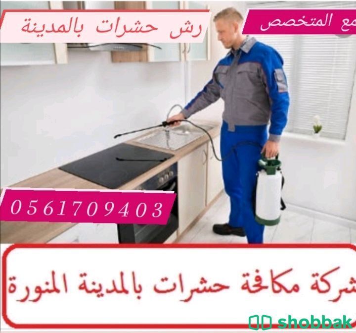 شركة رش حشرات بالمدينة المنورة 0561709403 ركن كلين باقل الاسعار  Shobbak Saudi Arabia