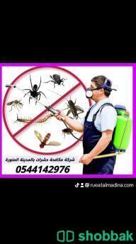 شركة رش حشرات بالمدينة المنورة  Shobbak Saudi Arabia
