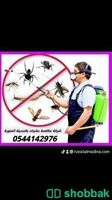 شركة رش حشرات بالمدينة المنورة  Shobbak Saudi Arabia