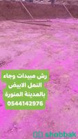 شركة رش مبيدات النمل الابيض بالمدينة المنورة  Shobbak Saudi Arabia