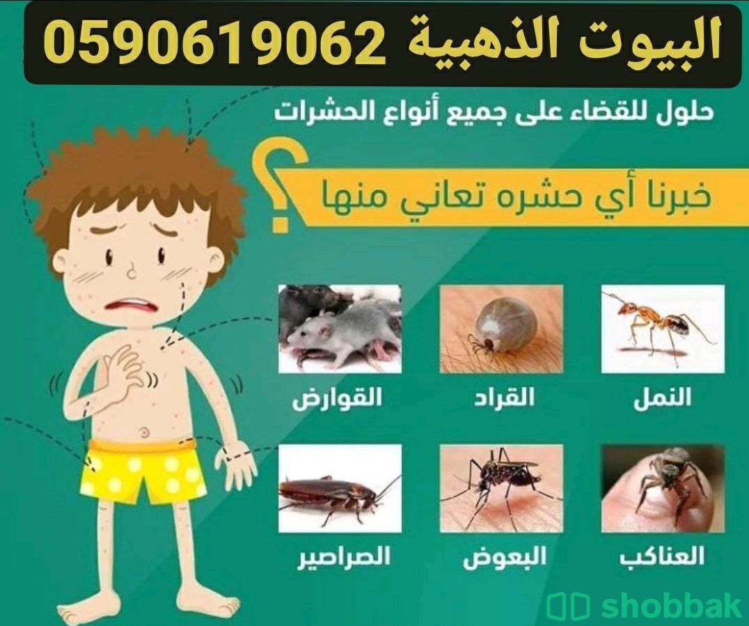 شركة رش مبيدات بالمدينة المنورة 0508213187 Shobbak Saudi Arabia