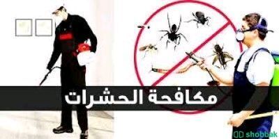 شركة مكافحة الحشرات بالرياض  شباك السعودية