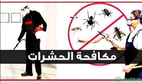 شركة مكافحة الحشرات ورش المبيدات بجدة شباك السعودية