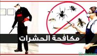 شركة مكافحة الحشرات ورش المبيدات بجدة Shobbak Saudi Arabia
