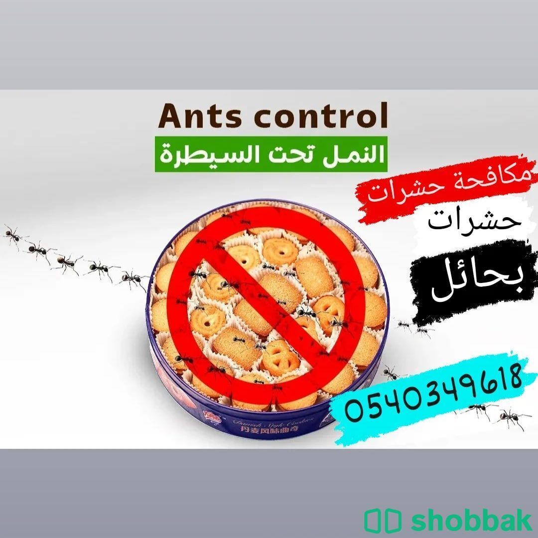 شركة مكافحة الصراصير بحائل 0540349618 رش مبيدات صراصير Shobbak Saudi Arabia