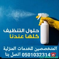 شركة مكافحة النمل الأبيض بالمدينة المنورة 0501032314 شركة المتخصصين رش نمل ابيض بالمدينة المنورة  Shobbak Saudi Arabia