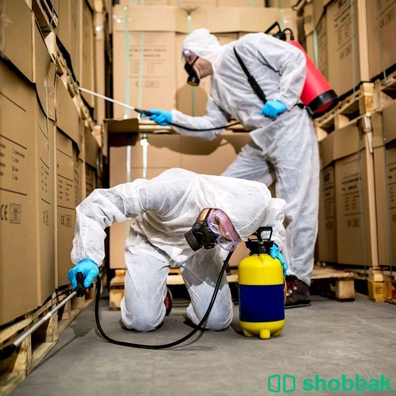 شركة مكافحة حشرات بالدمام رش مبيدات بالشرقية  Shobbak Saudi Arabia