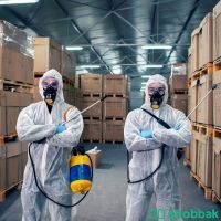شركة مكافحة حشرات بالدمام رش مبيدات بالشرقية  Shobbak Saudi Arabia