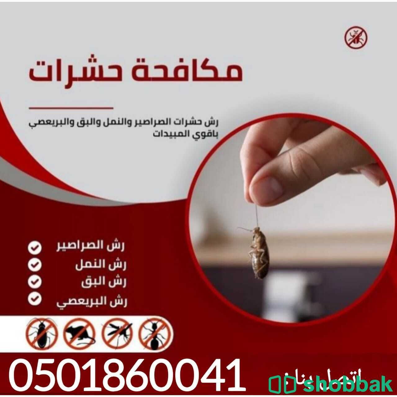 شركة مكافحة حشرات بالرياض  Shobbak Saudi Arabia