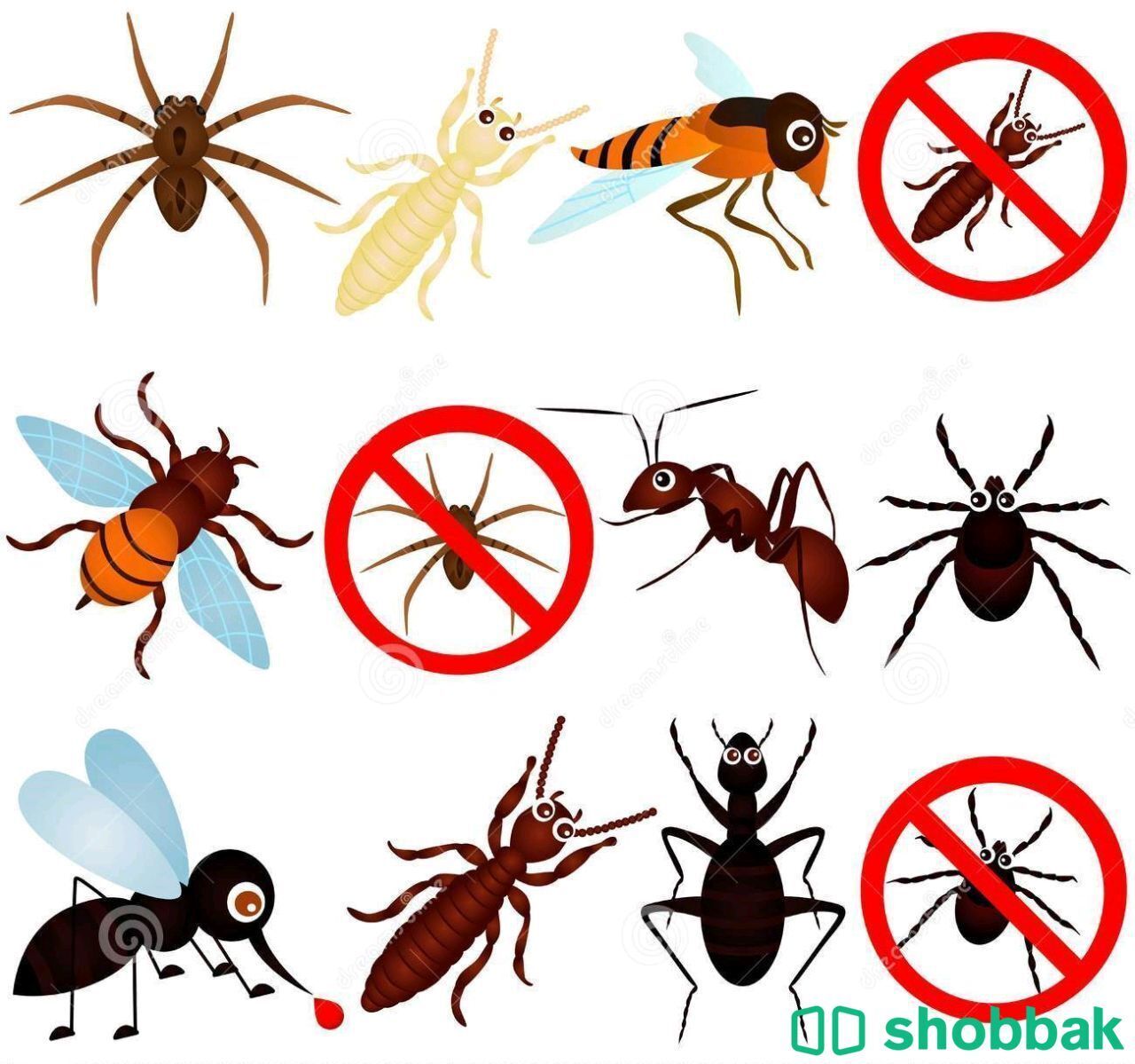شركة مكافحة حشرات بالمدينة المنورة - 0544142976 Shobbak Saudi Arabia