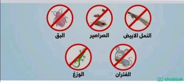 شركة مكافحة حشرات بجدة  شباك السعودية