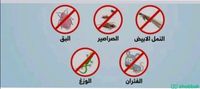 شركة مكافحة حشرات بجدة  Shobbak Saudi Arabia