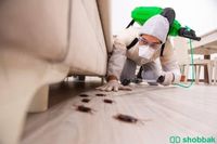 شركة مكافحة حشرات رش مبيدات  Shobbak Saudi Arabia