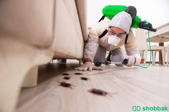 شركة مكافحة حشرات رش مبيدات بالرياض  Shobbak Saudi Arabia