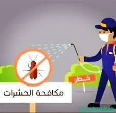 شركة مكافحة حشرات رش مبيدات بالرياض  شباك السعودية