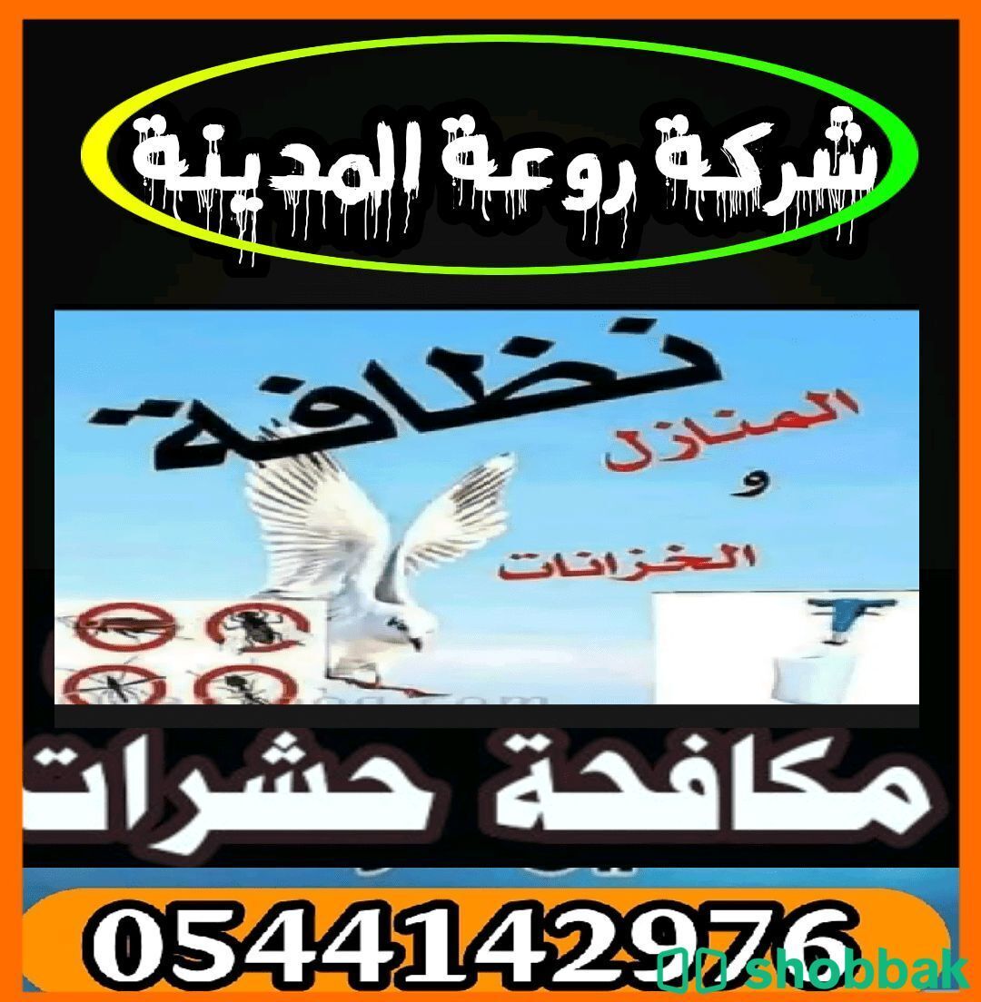 شركة مكافحة صراصير بالمدينة المنورة -0544142976 Shobbak Saudi Arabia