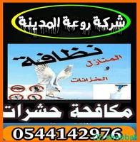 شركة مكافحة صراصير بالمدينة المنورة -0544142976 Shobbak Saudi Arabia