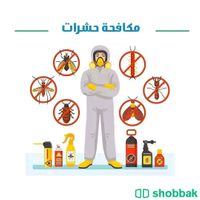 شركة مكافحه حشرات بالرياض Shobbak Saudi Arabia
