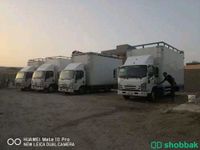 شركة نقل عفش بشاير الخير فك تركيب تغليف ضمان  Shobbak Saudi Arabia