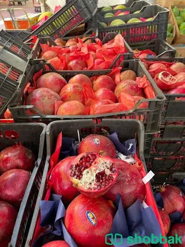 شركة نهر الامداد لتوريد الفواكة والخضروات الطازجة الجملة بجدة شباك السعودية
