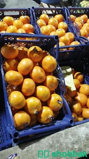 شركة نهر الامداد لتوريد الفواكة والخضروات الطازجة الجملة بجدة شباك السعودية