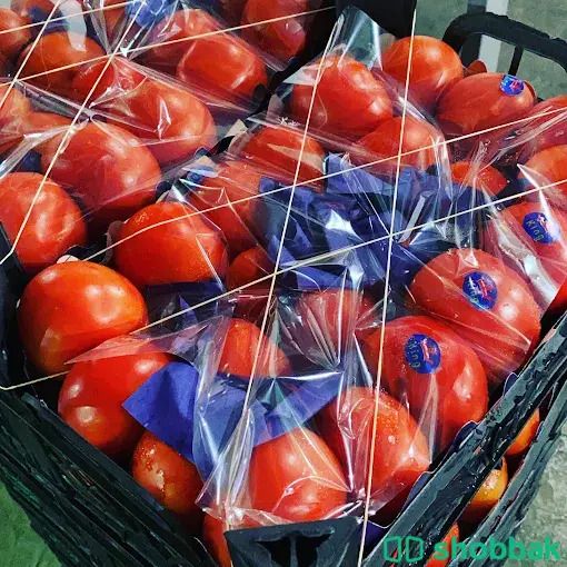شركة نهر الامداد لتوريد الفواكة والخضروات الطازجة الجملة بجدة شباك السعودية
