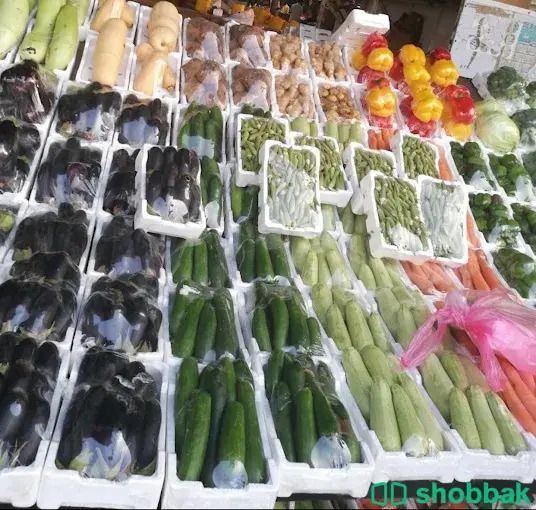 شركة نهر الامداد لتوريد الفواكة والخضروات الطازجة الجملة بجدة شباك السعودية