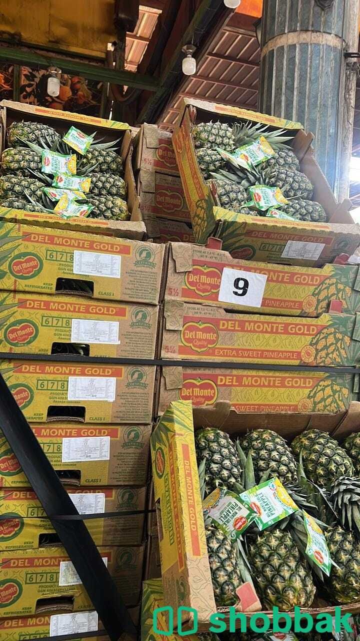 شركة نهر الامداد لتوريد الفواكة والخضروات الطازجة الجملة بجدة شباك السعودية