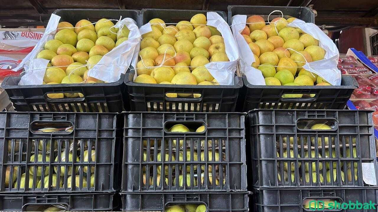شركة نهر الامداد لتوريد الفواكة والخضروات الطازجة الجملة بجدة شباك السعودية