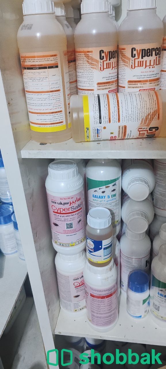 شركه رش حشرات بجده  شباك السعودية