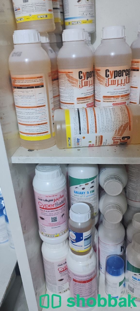 شركه رش حشرات بجده  شباك السعودية