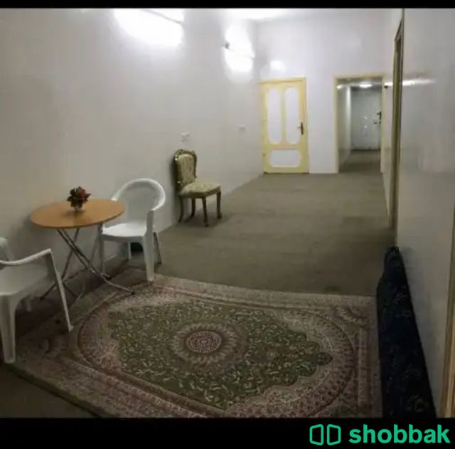 شقة للإيجار اليومي او الشهري Shobbak Saudi Arabia