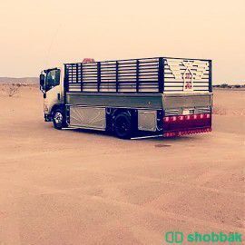 طش اثاث بالرياض  Shobbak Saudi Arabia