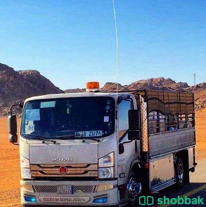 طش اثاث مستعمل بالرياض شمال الرياض 0504802895 Shobbak Saudi Arabia