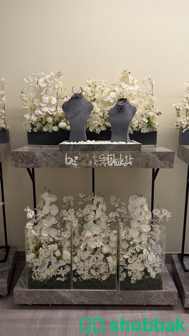 عربية ملكه  شباك السعودية