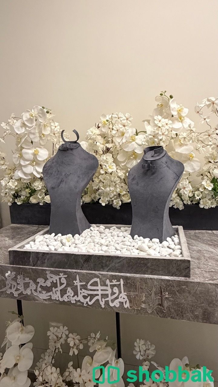 عربية ملكه  شباك السعودية