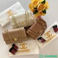 عرض 3 شنط ماركات مع ارواج هدية 🎁 Shobbak Saudi Arabia